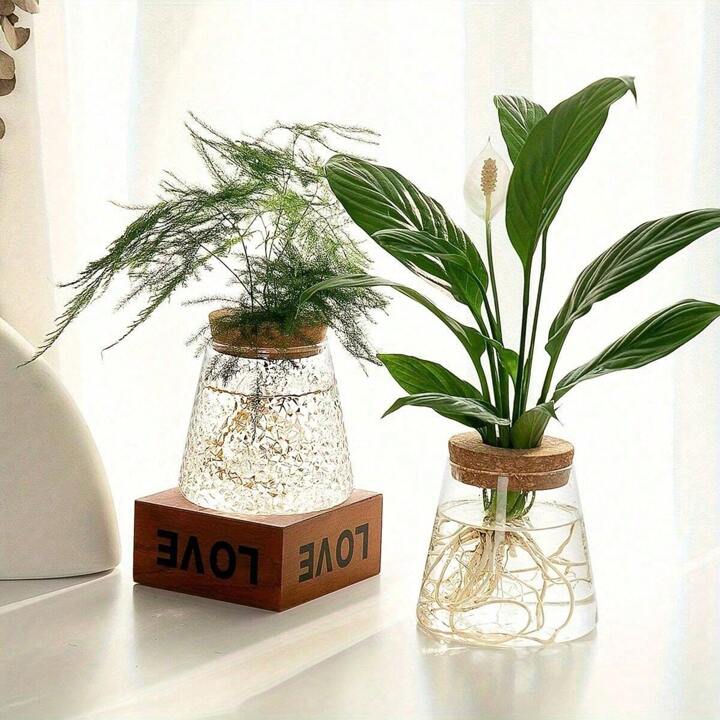 Hydroponic Plant Volcano Vase