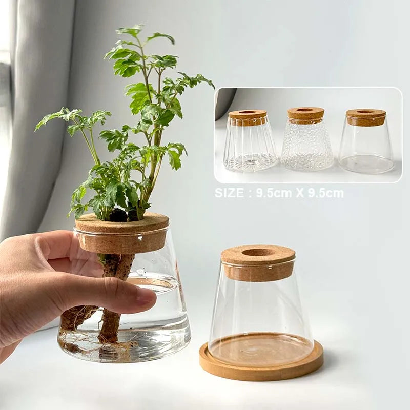 Hydroponic Plant Volcano Vase