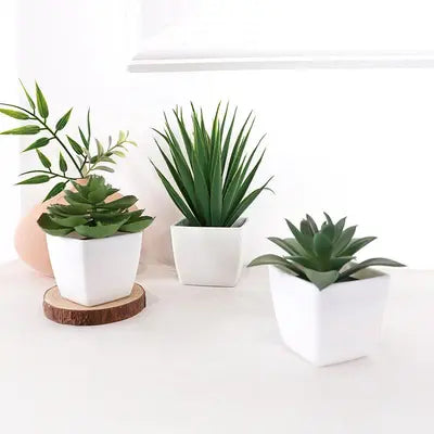 3PCS Mini Potted Plants