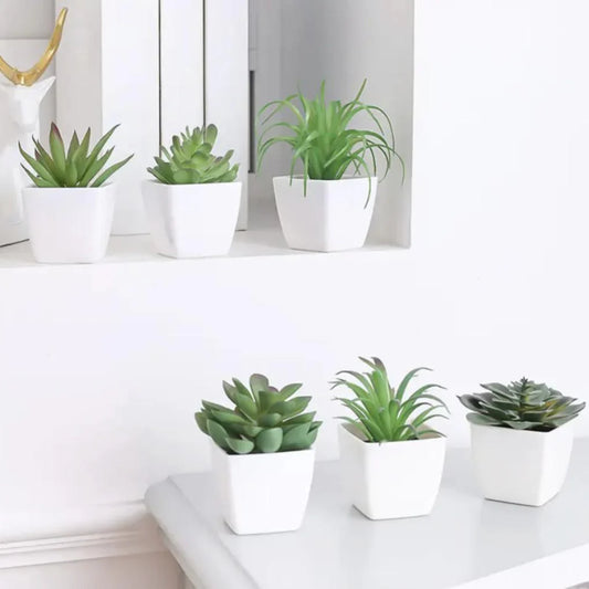 3PCS Mini Potted Plants